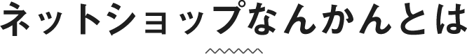 ネットショップなんかんとは